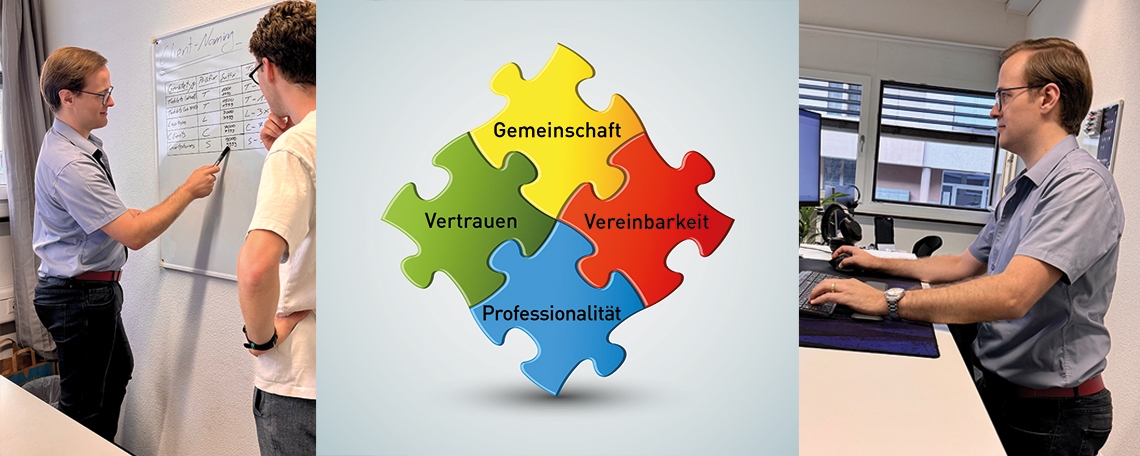 IT System Administrator/in & Supporter/in 80-100%, 3. Bild